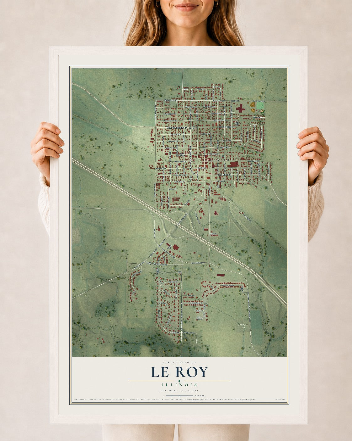 Map of Le Roy, Illinois, 24 x 36 inch print in a white wood frame