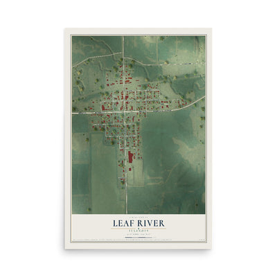 Map of Leaf River, Illinois, 12 x 18 inch unframed archival matte print