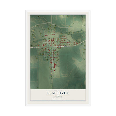 Map of Leaf River, Illinois, 12 x 18 inch print in a white wood frame