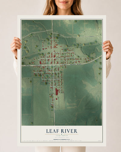 Map of Leaf River, Illinois, 24 x 36 inch unframed archival matte print
