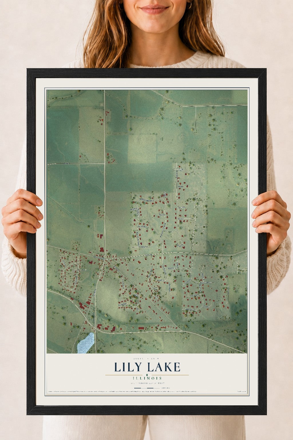 Map of Lily Lake, Illinois, 18 x 24 inch print in a black wood frame