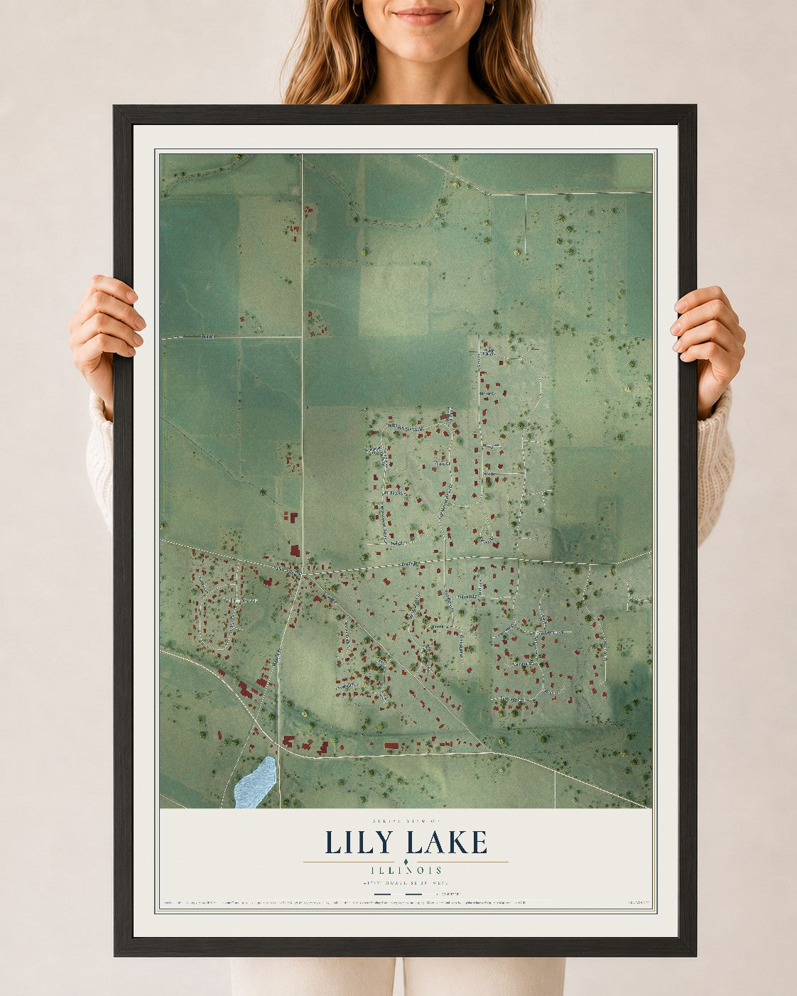 Map of Lily Lake, Illinois, 24 x 36 inch print in a black wood frame