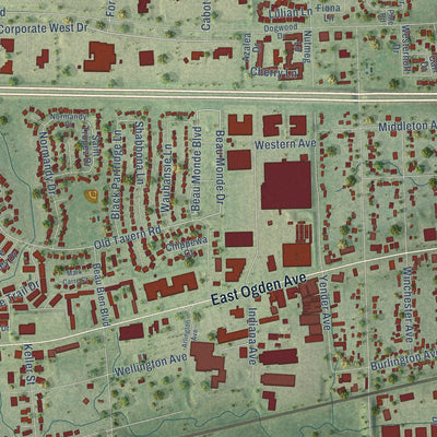 Second close-up of the map of Lisle, Illinois print showing more streets and buildings