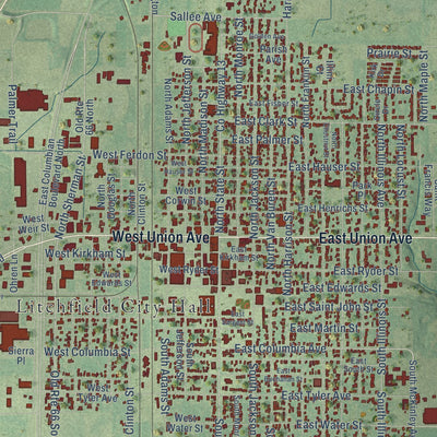 Close-up of the map of Litchfield, Illinois print showing street and building detail