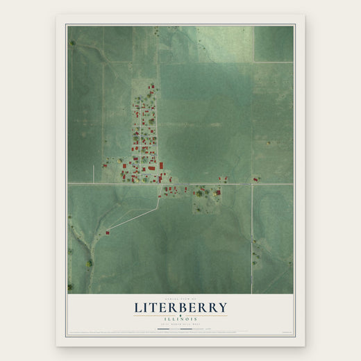 Literberry, Illinois map print, the full design