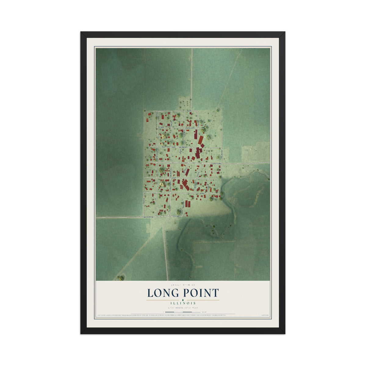 Map of Long Point, Illinois, 12 x 18 inch print in a black wood frame