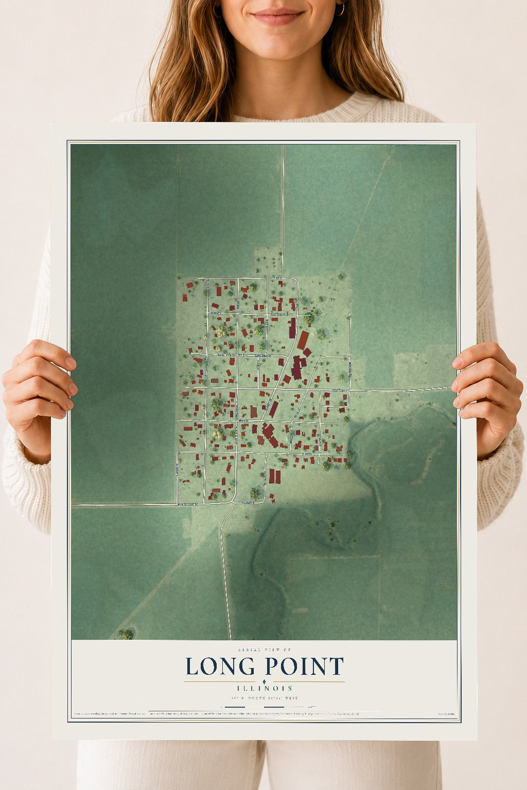 Map of Long Point, Illinois, 18 x 24 inch unframed archival matte print