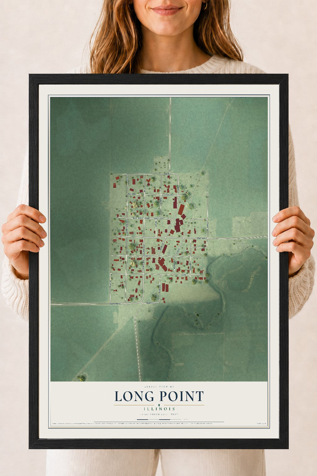 Map of Long Point, Illinois, 18 x 24 inch print in a black wood frame