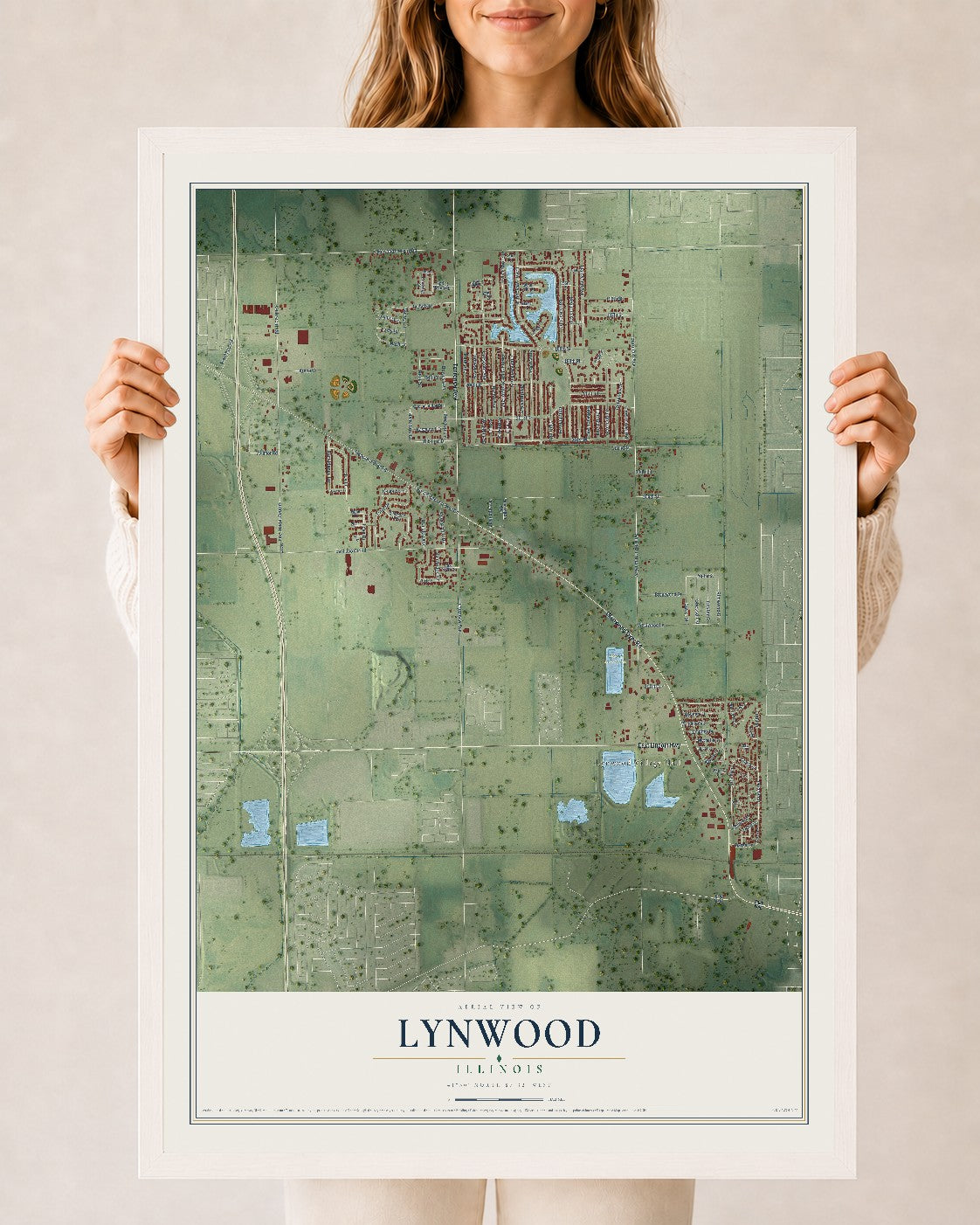 Map of Lynwood, Illinois, 24 x 36 inch print in a white wood frame