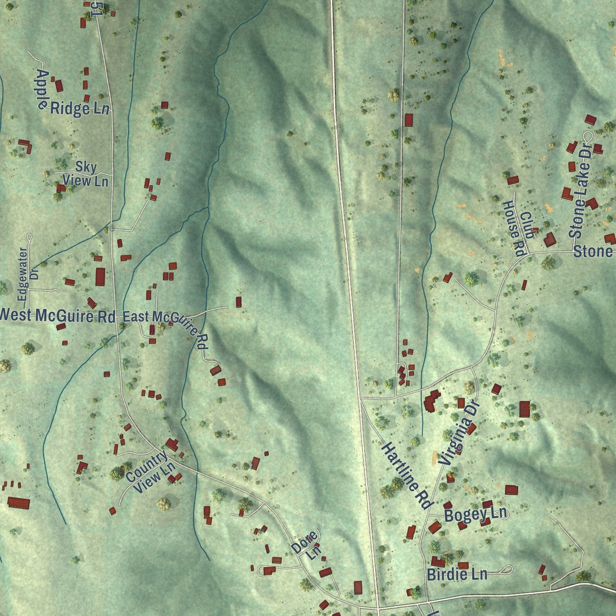Close-up of the map of Makanda, Illinois print showing street and building detail