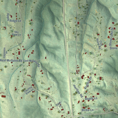 Close-up of the map of Makanda, Illinois print showing street and building detail