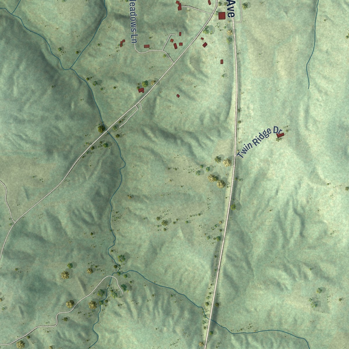 Second close-up of the map of Makanda, Illinois print showing more streets and buildings