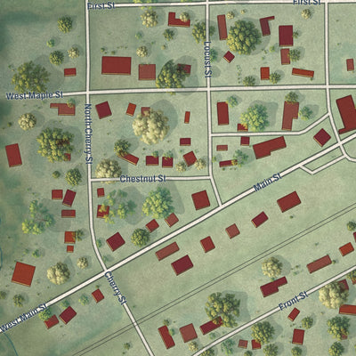 Close-up of the map of Malden, Illinois print showing street and building detail