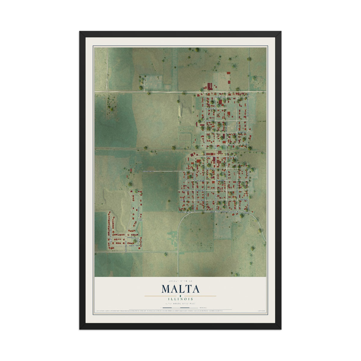 Map of Malta, Illinois, 12 x 18 inch print in a black wood frame