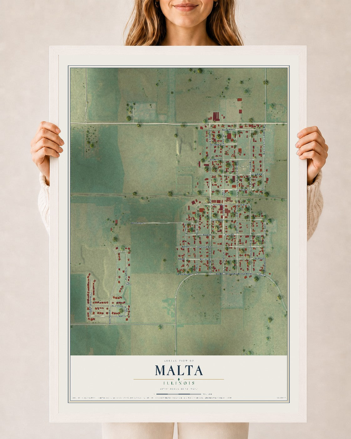 Map of Malta, Illinois, 24 x 36 inch print in a white wood frame