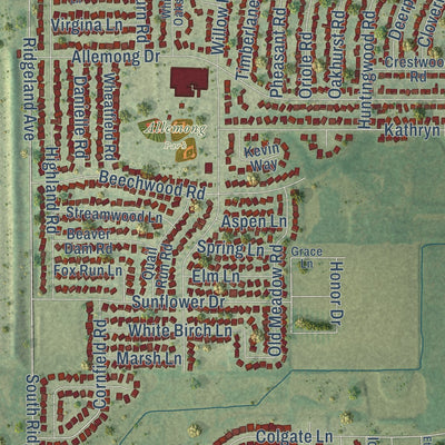 Close-up of the map of Matteson, Illinois print showing street and building detail