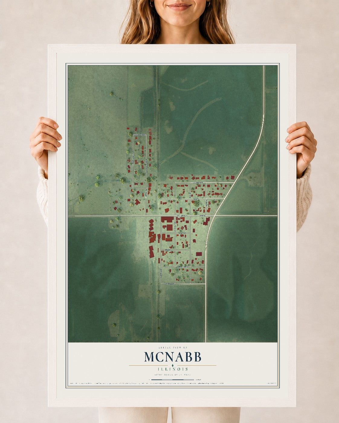 Map of McNabb, Illinois, 24 x 36 inch print in a white wood frame
