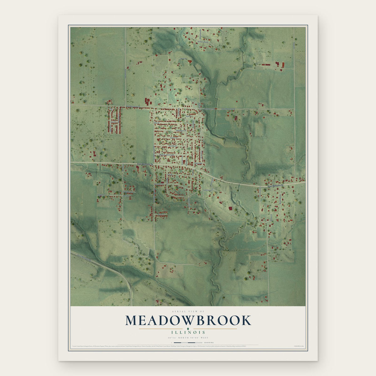 Meadowbrook, Illinois map print, the full design