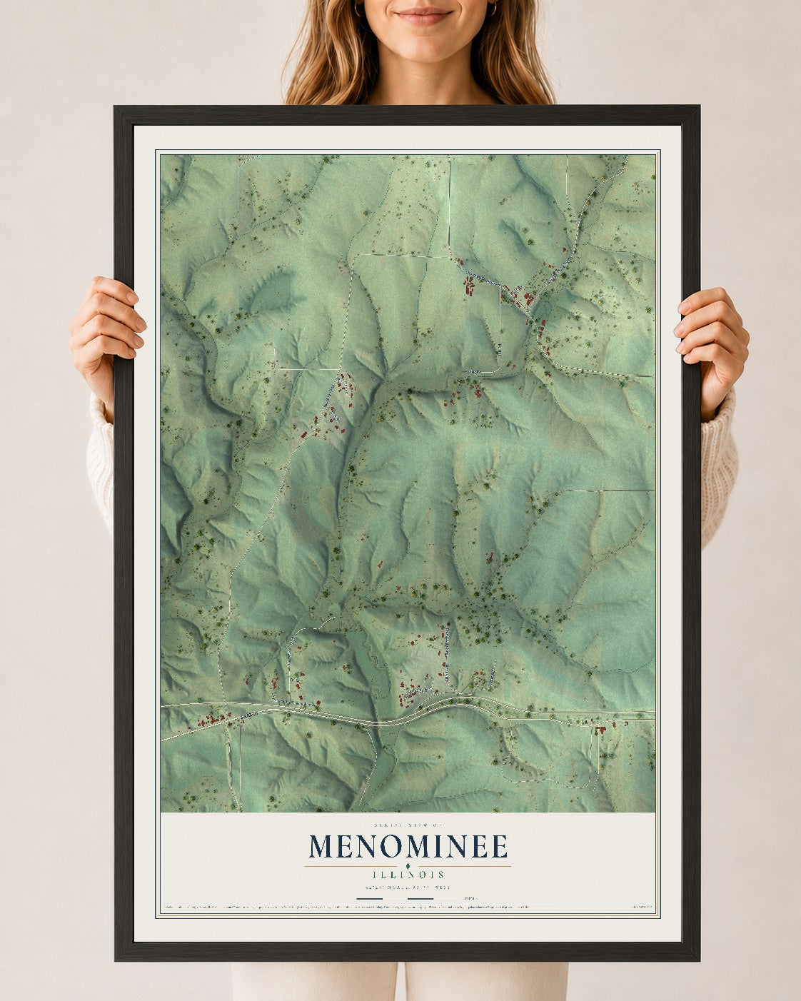 Map of Menominee, Illinois, 24 x 36 inch print in a black wood frame