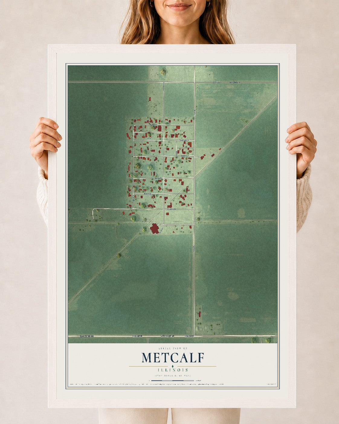 Map of Metcalf, Illinois, 24 x 36 inch print in a white wood frame