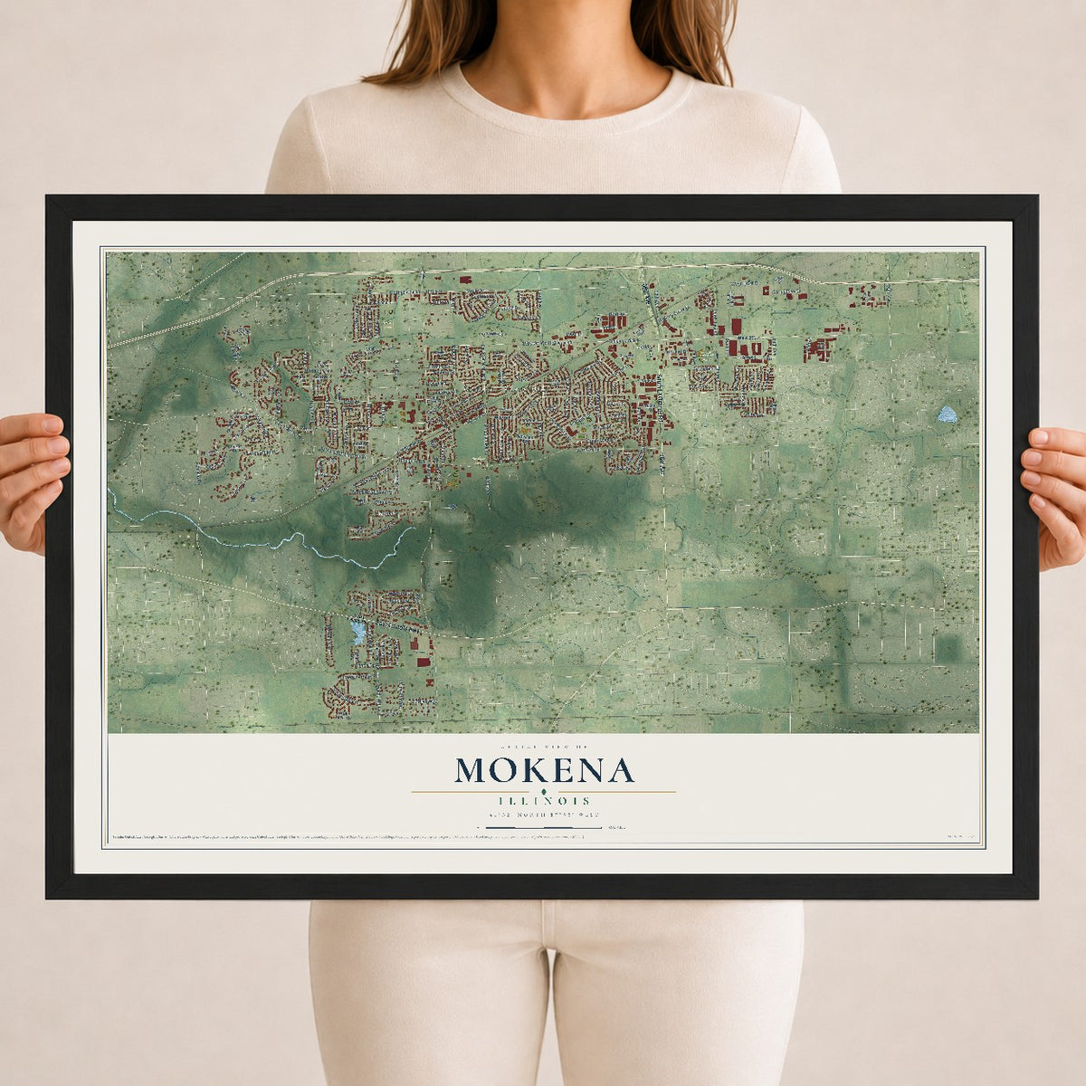 Map of Mokena, Illinois, 18 x 24 inch print in a black wood frame