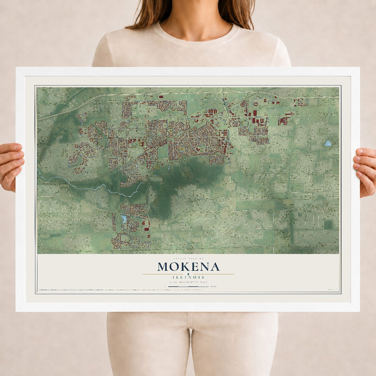 Map of Mokena, Illinois, 18 x 24 inch print in a white wood frame