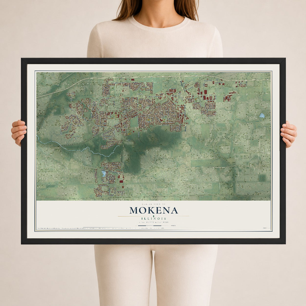 Map of Mokena, Illinois, 24 x 36 inch print in a black wood frame