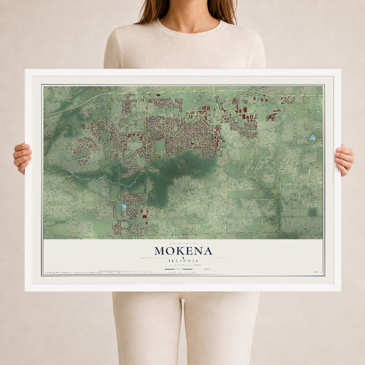 Map of Mokena, Illinois, 24 x 36 inch print in a white wood frame