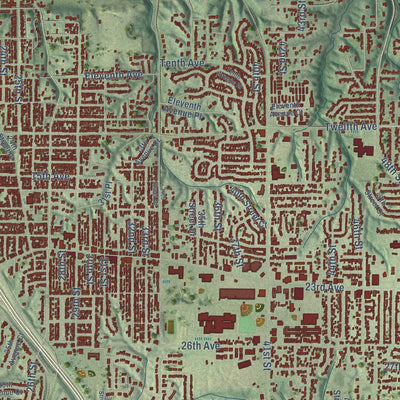 Close-up of the map of Moline, Illinois print showing street and building detail