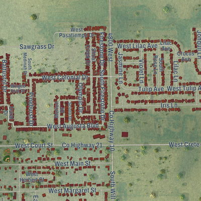 Second close-up of the map of Monee, Illinois print showing more streets and buildings