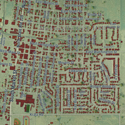 Close-up of the map of Monticello, Illinois print showing street and building detail