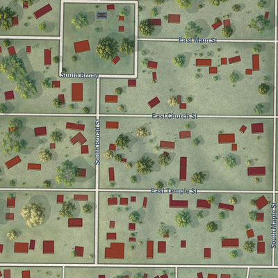 Close-up of the map of Mount Auburn, Illinois print showing street and building detail