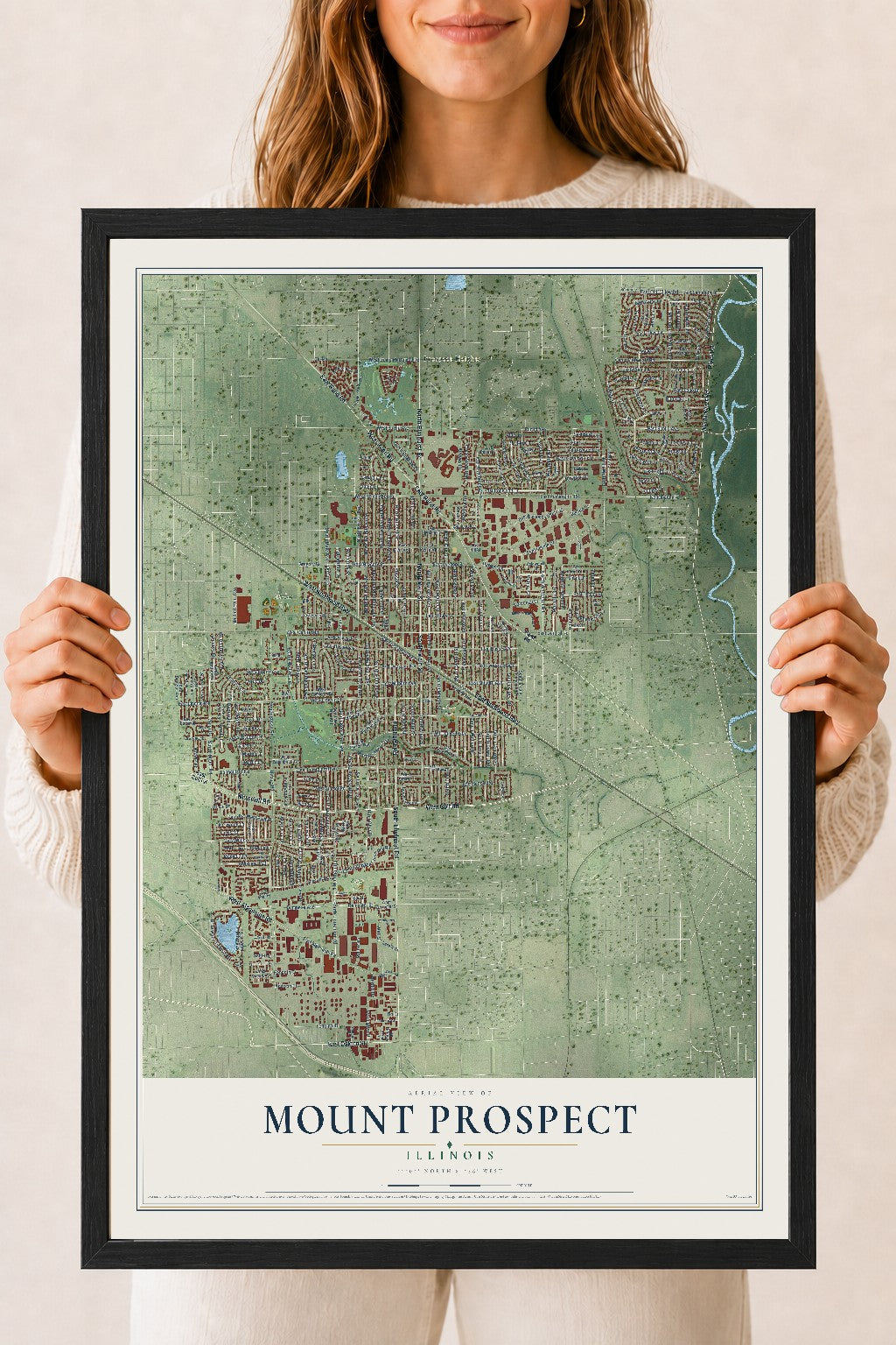 Map of Mount Prospect, Illinois, 18 x 24 inch print in a black wood frame