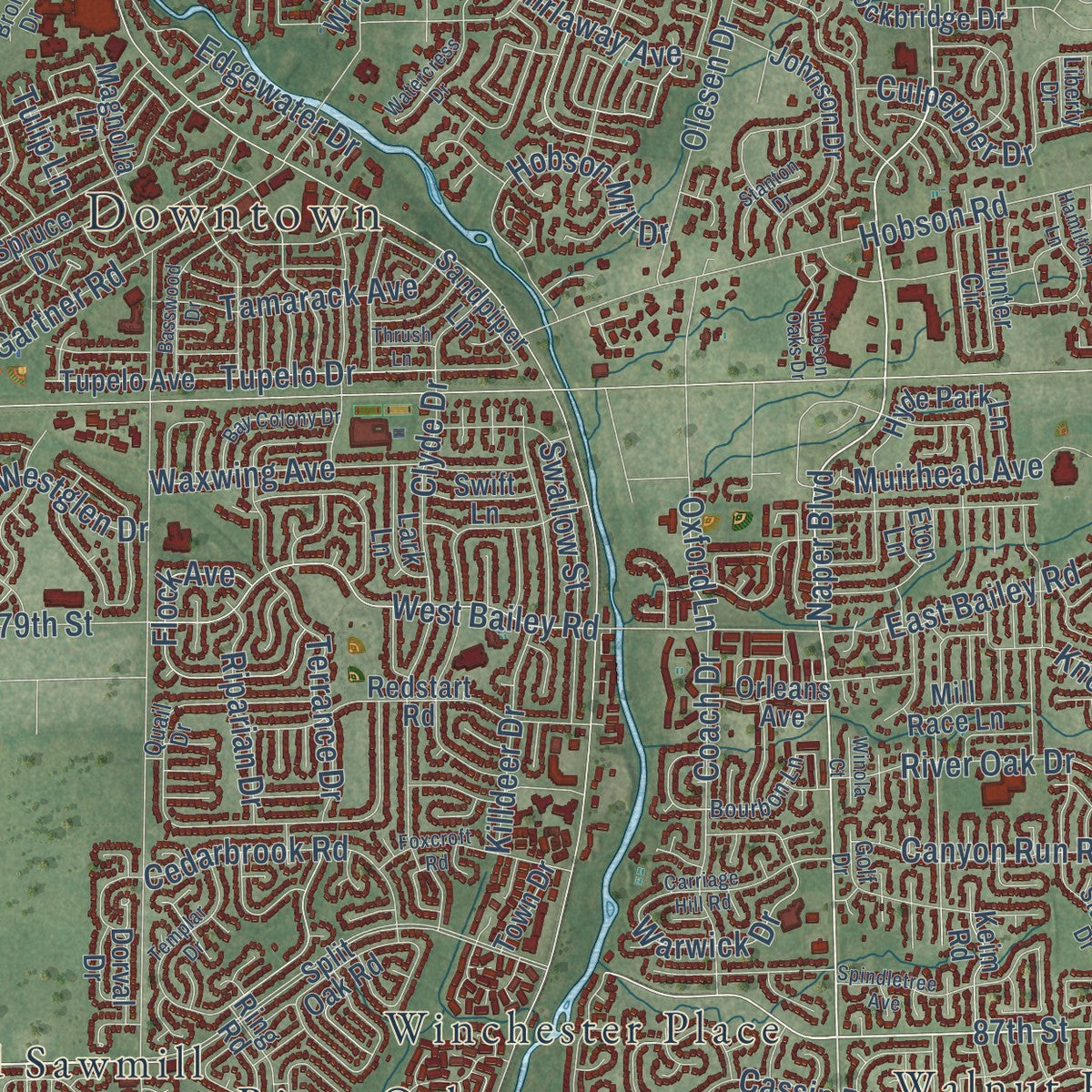 Close-up of the map of Naperville, Illinois print showing street and building detail