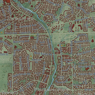 Close-up of the map of Naperville, Illinois print showing street and building detail
