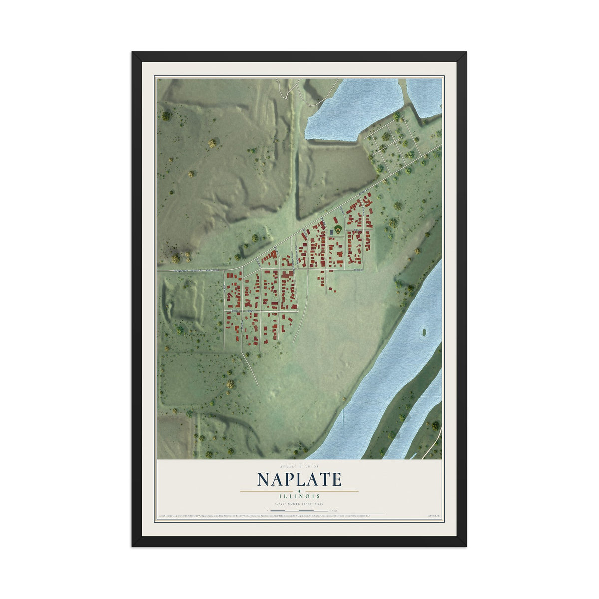 Map of Naplate, Illinois, 12 x 18 inch print in a black wood frame