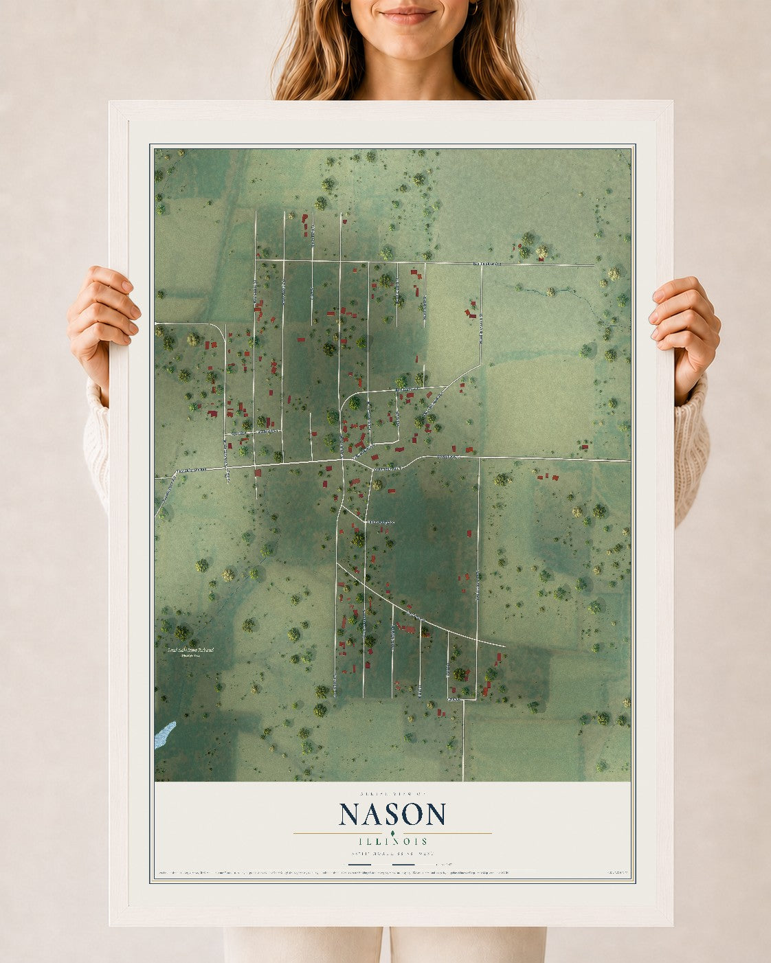 Map of Nason, Illinois, 24 x 36 inch print in a white wood frame