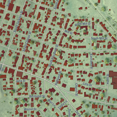 Close-up of the map of New Athens, Illinois print showing street and building detail