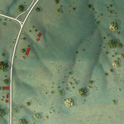 Second close-up of the map of New Burnside, Illinois print showing more streets and buildings