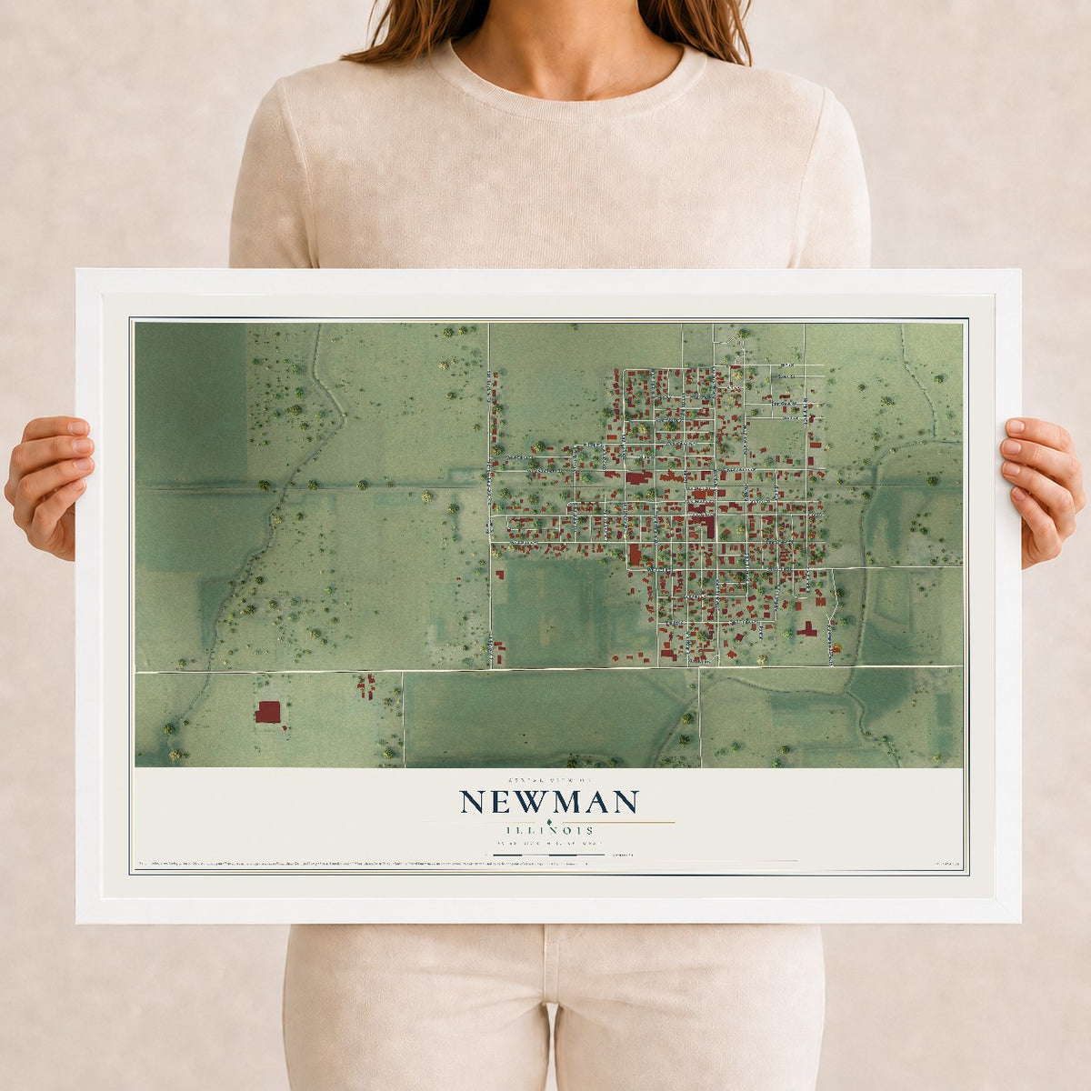 Map of Newman, Illinois, 12 x 18 inch print in a white wood frame