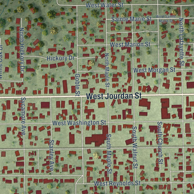 Close-up of the map of Newton, Illinois print showing street and building detail