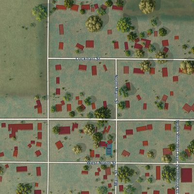 Close-up of the map of Niantic, Illinois print showing street and building detail