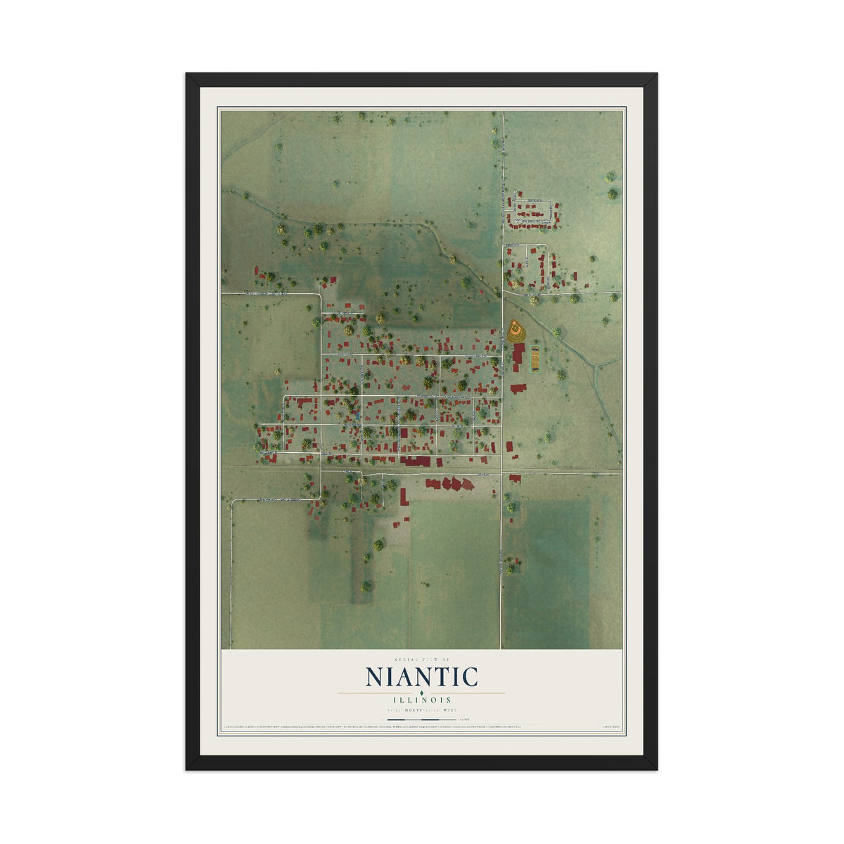 Map of Niantic, Illinois, 12 x 18 inch print in a black wood frame