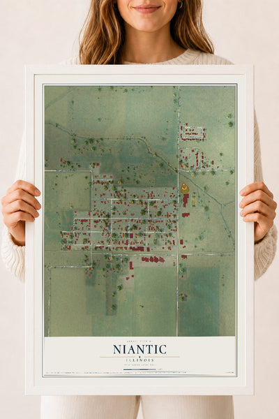 Map of Niantic, Illinois, 18 x 24 inch print in a white wood frame
