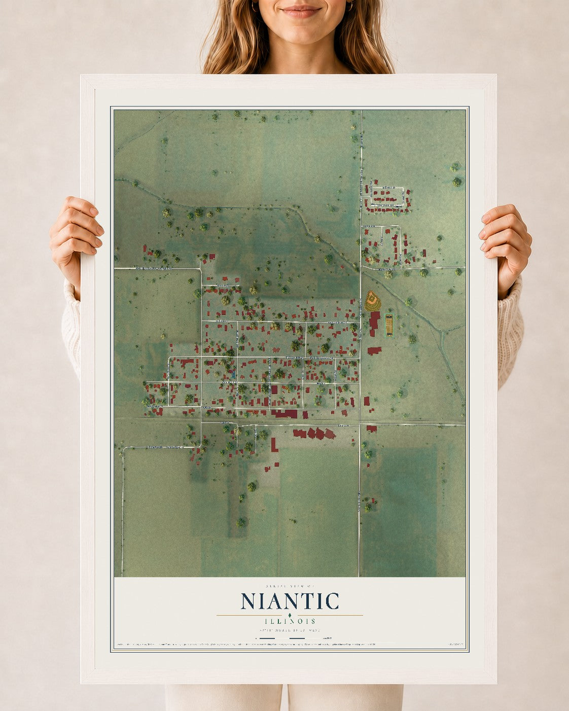 Map of Niantic, Illinois, 24 x 36 inch print in a white wood frame
