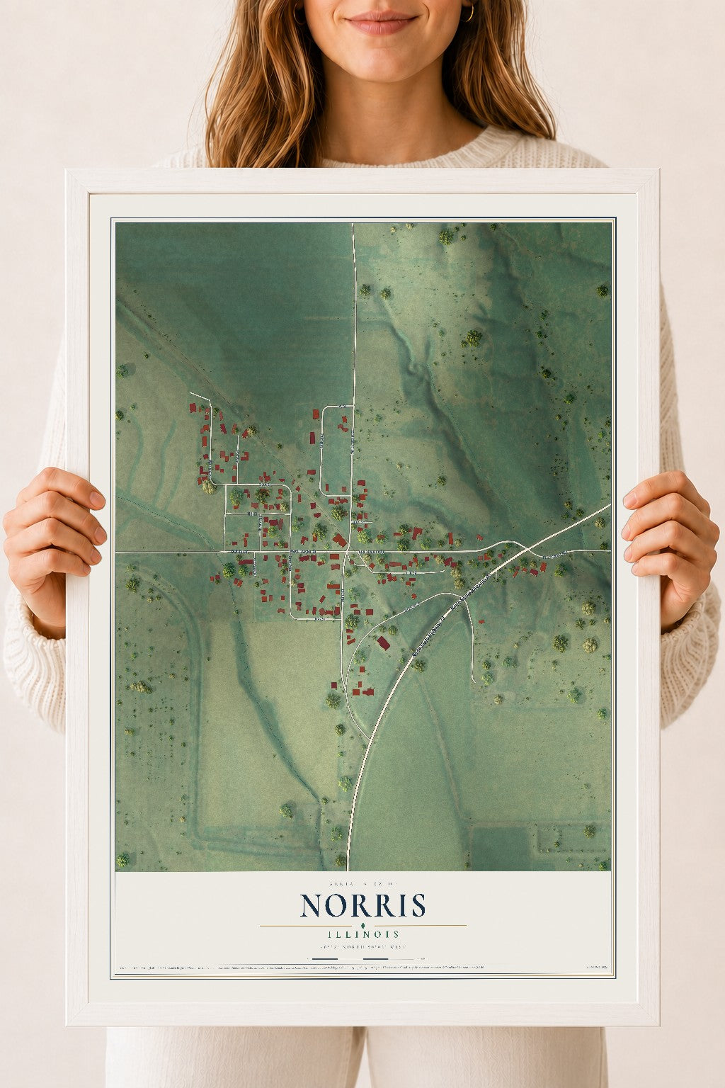 Map of Norris, Illinois, 18 x 24 inch print in a white wood frame