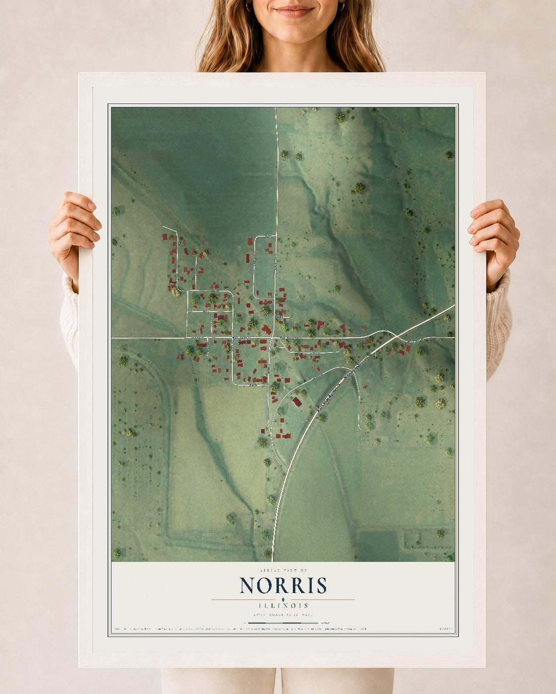 Map of Norris, Illinois, 24 x 36 inch print in a white wood frame