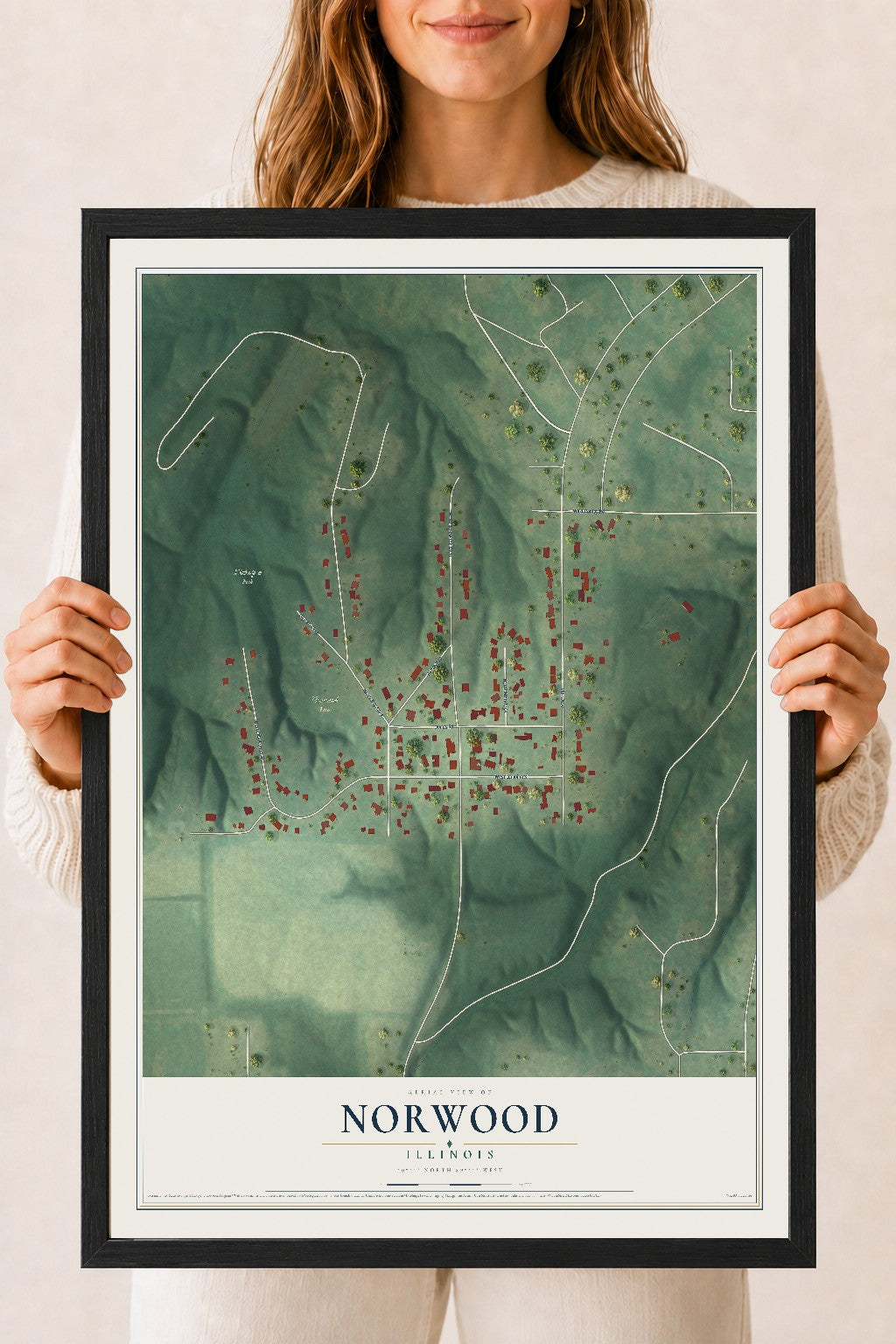 Map of Norwood, Illinois, 18 x 24 inch print in a black wood frame