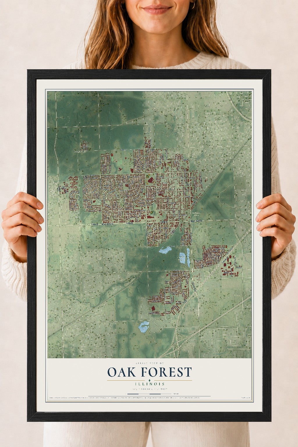 Map of Oak Forest, Illinois, 18 x 24 inch print in a black wood frame