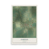 Map of Oakdale, Illinois, 12 x 18 inch unframed archival matte print